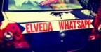 Elveda Whatsapp