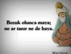 Mevlana