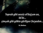Mevlana