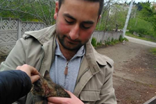 �nce �ocuklara Sonra Kediye Sald�rd� 