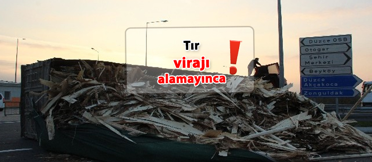 Viraj� alamay�nca 
