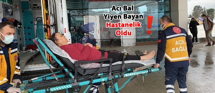 Deli Bal olarak bilinen ac� baldan yiyen kad�n hastanelik oldu.