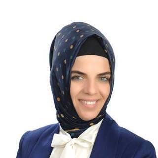 Rukiye Ye�il Ba�kanl��a Aday m� Oluyor?