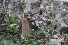 D�zce'nin Turizmini Baltalad�lar