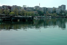Karadeniz'de Yosun �l�mleri Ya�an�yor