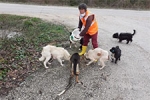 D�zce Belediyesi sokak hayvanlar�n� unutmad�
