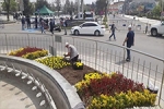 Bahar �i�ekleri
