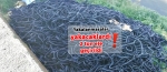 Yakalanmasalar yakacaklard� 