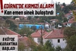 Edirne'de k�rm�z� alarm: Kan emen sinek bula�t�rd�, 8 k�yde �mavi dil' karantinas� ba�lat�ld�!