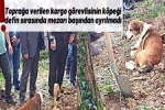 Topra�a verilen kargo g�revlisinin k�pe�i defin s�ras�nda mezar� ba��ndan ayr�lmad� !