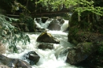 D�zce'de �elaleden �ocuk D��t� 